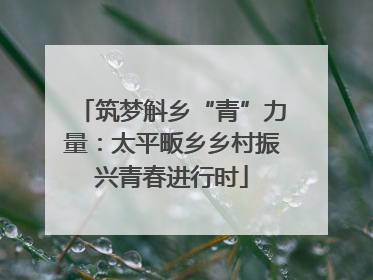 筑梦斛乡“青”力量：太平畈乡乡村振兴青春进行时