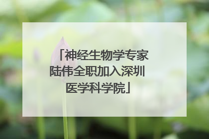 神经生物学专家陆伟全职加入深圳医学科学院