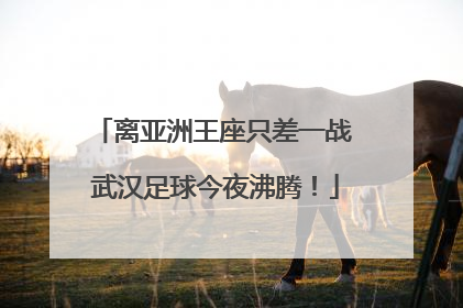 离亚洲王座只差一战 武汉足球今夜沸腾！