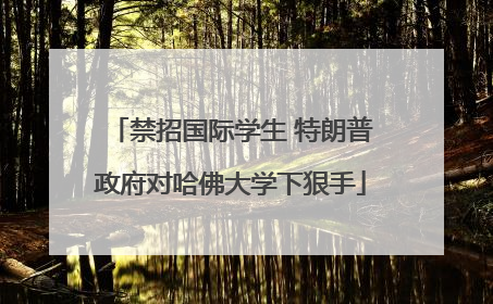 禁招国际学生 特朗普政府对哈佛大学下狠手