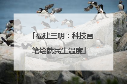 福建三明：科技画笔绘就民生温度