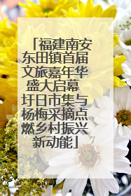 福建南安东田镇首届文旅嘉年华盛大启幕 圩日市集与杨梅采摘点燃乡村振兴新动能