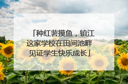 种红薯摸鱼，镇江这家学校在田间池畔见证学生快乐成长
