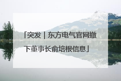 突发｜东方电气官网撤下董事长俞培根信息