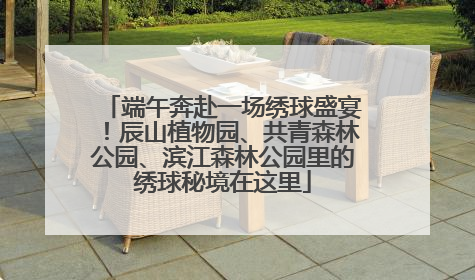 端午奔赴一场绣球盛宴！辰山植物园、共青森林公园、滨江森林公园里的绣球秘境在这里