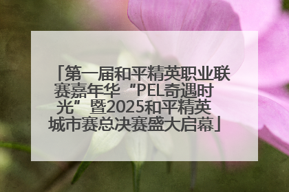 第一届和平精英职业联赛嘉年华“PEL奇遇时光”暨2025和平精英城市赛总决赛盛大启幕