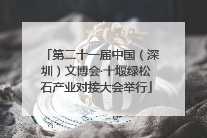 第二十一届中国（深圳）文博会·十堰绿松石产业对接大会举行