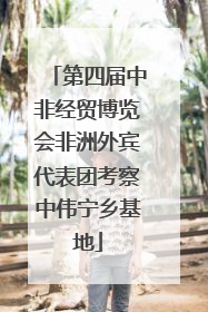 第四届中非经贸博览会非洲外宾代表团考察中伟宁乡基地