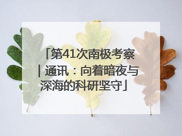 第41次南极考察｜通讯：向着暗夜与深海的科研坚守