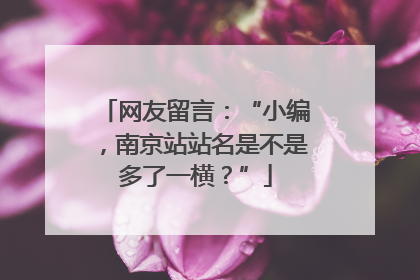 网友留言：“小编，南京站站名是不是多了一横？”