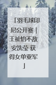羽毛球印尼公开赛｜王祉怡不敌安洗莹 获得女单亚军