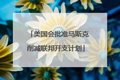 美国会批准马斯克削减联邦开支计划