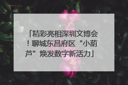 精彩亮相深圳文博会！聊城东昌府区“小葫芦”焕发数字新活力