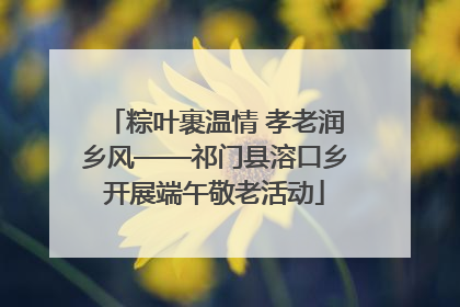 粽叶裹温情 孝老润乡风——祁门县溶口乡开展端午敬老活动