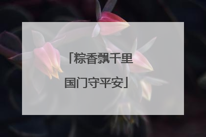 粽香飘千里 国门守平安