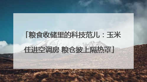 粮食收储里的科技范儿：玉米住进空调房 粮仓披上隔热罩