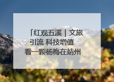红观五溪｜文旅引流 科技增值 看一颗杨梅在靖州的“商业觉醒”