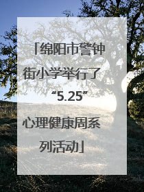 绵阳市警钟街小学举行了“5.25”心理健康周系列活动