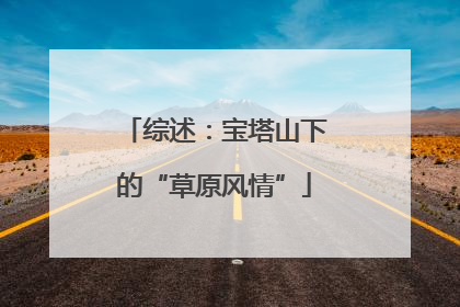 综述：宝塔山下的“草原风情”