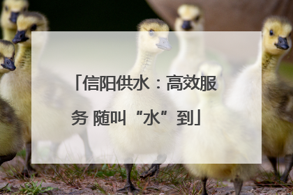 信阳供水：高效服务 随叫“水”到