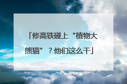 修高铁碰上“植物大熊猫”？他们这么干