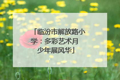 临汾市解放路小学：多彩艺术月 少年展风华