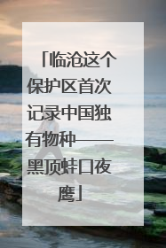 临沧这个保护区首次记录中国独有物种——黑顶蛙口夜鹰
