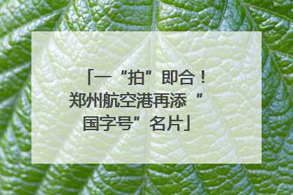 一“拍”即合！郑州航空港再添“国字号”名片