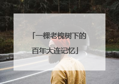 一棵老槐树下的百年大连记忆