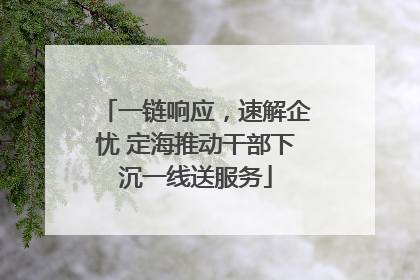 一链响应，速解企忧 定海推动干部下沉一线送服务