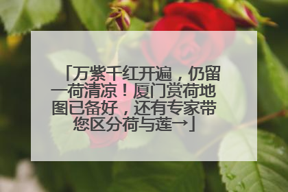 万紫千红开遍，仍留一荷清凉！厦门赏荷地图已备好，还有专家带您区分荷与莲→