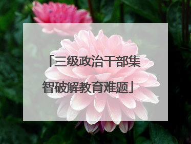 三级政治干部集智破解教育难题
