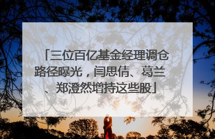 三位百亿基金经理调仓路径曝光，闫思倩、葛兰、郑澄然增持这些股