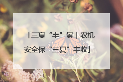三夏“丰”景｜农机安全保“三夏”丰收