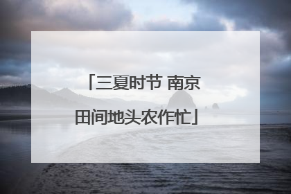 三夏时节 南京田间地头农作忙