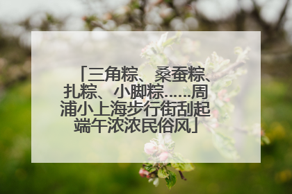 三角粽、桑蚕粽、扎粽、小脚粽……周浦小上海步行街刮起端午浓浓民俗风