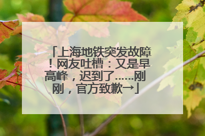 上海地铁突发故障！网友吐槽：又是早高峰，迟到了……刚刚，官方致歉→