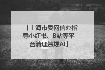 上海市委网信办指导小红书、B站等平台清理违规AI