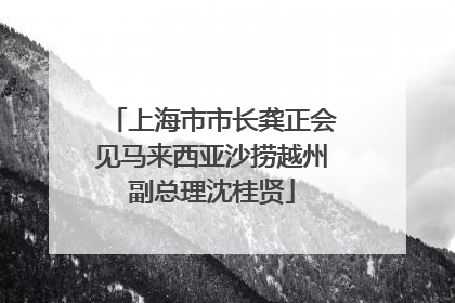 上海市市长龚正会见马来西亚沙捞越州副总理沈桂贤