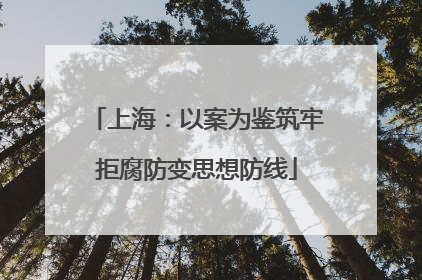 上海：以案为鉴筑牢拒腐防变思想防线