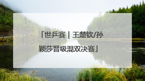 世乒赛｜王楚钦/孙颖莎晋级混双决赛