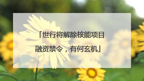 世行将解除核能项目融资禁令，有何玄机