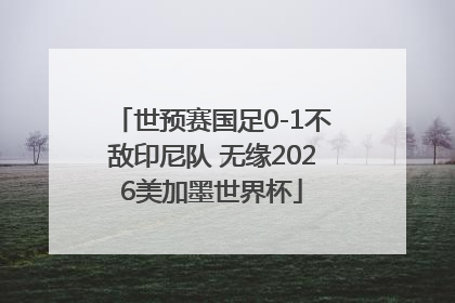 世预赛国足0-1不敌印尼队 无缘2026美加墨世界杯