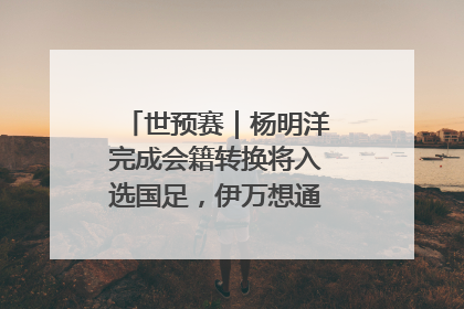 世预赛｜杨明洋完成会籍转换将入选国足，伊万想通了要打双后腰？