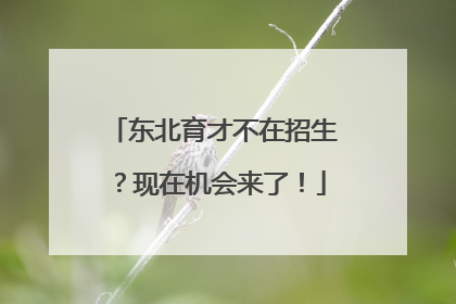 东北育才不在招生？现在机会来了！