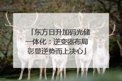 东方日升加码光储一体化：逆变器布局彰显逆势而上决心