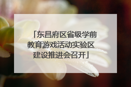 东昌府区省级学前教育游戏活动实验区建设推进会召开