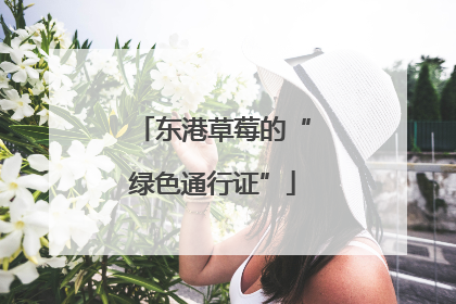 东港草莓的“绿色通行证”