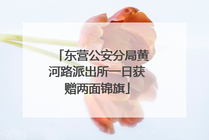 东营公安分局黄河路派出所一日获赠两面锦旗
