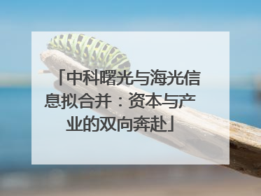中科曙光与海光信息拟合并：资本与产业的双向奔赴